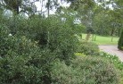 Bannockburn VICresidential-landscaping-35.jpg; ?>